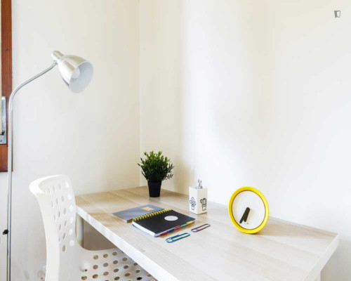 Lovely double bedroom in a 3-bedroom apartment near Parco delle farfalle