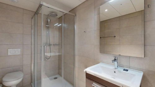 Very nice studio next to the Geneva Airport - Gallery - 5
