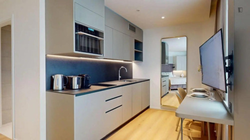 Very nice studio next to the Geneva Airport