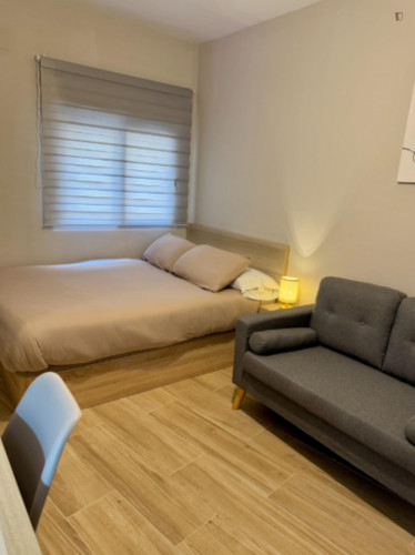 Neat single bedroom in the centre of Alicante  - Gallery -  5