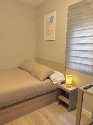 Cosy single bedroom in the centre of Alicante