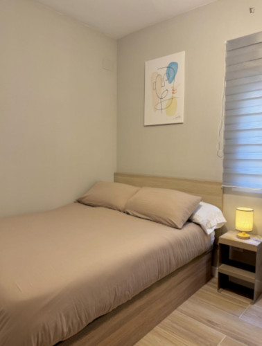 Cosy single bedroom in the centre of Alicante