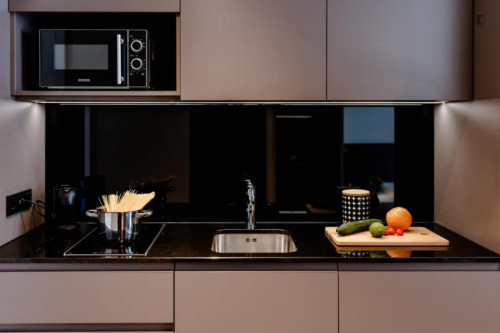 Modern apartment in the Moosach district
