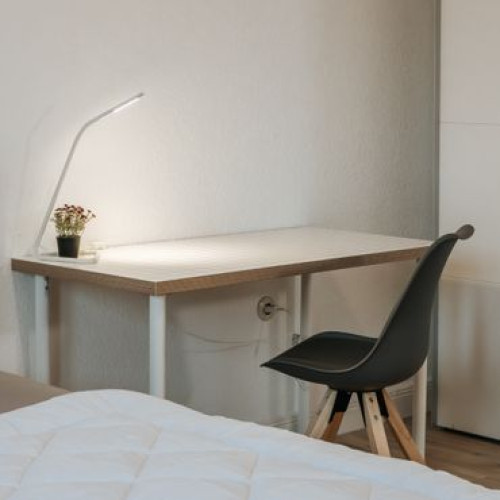 Room in a new 4-person shared apartment on Friedrichsring – historic charm, fully furnished & all-inclusive