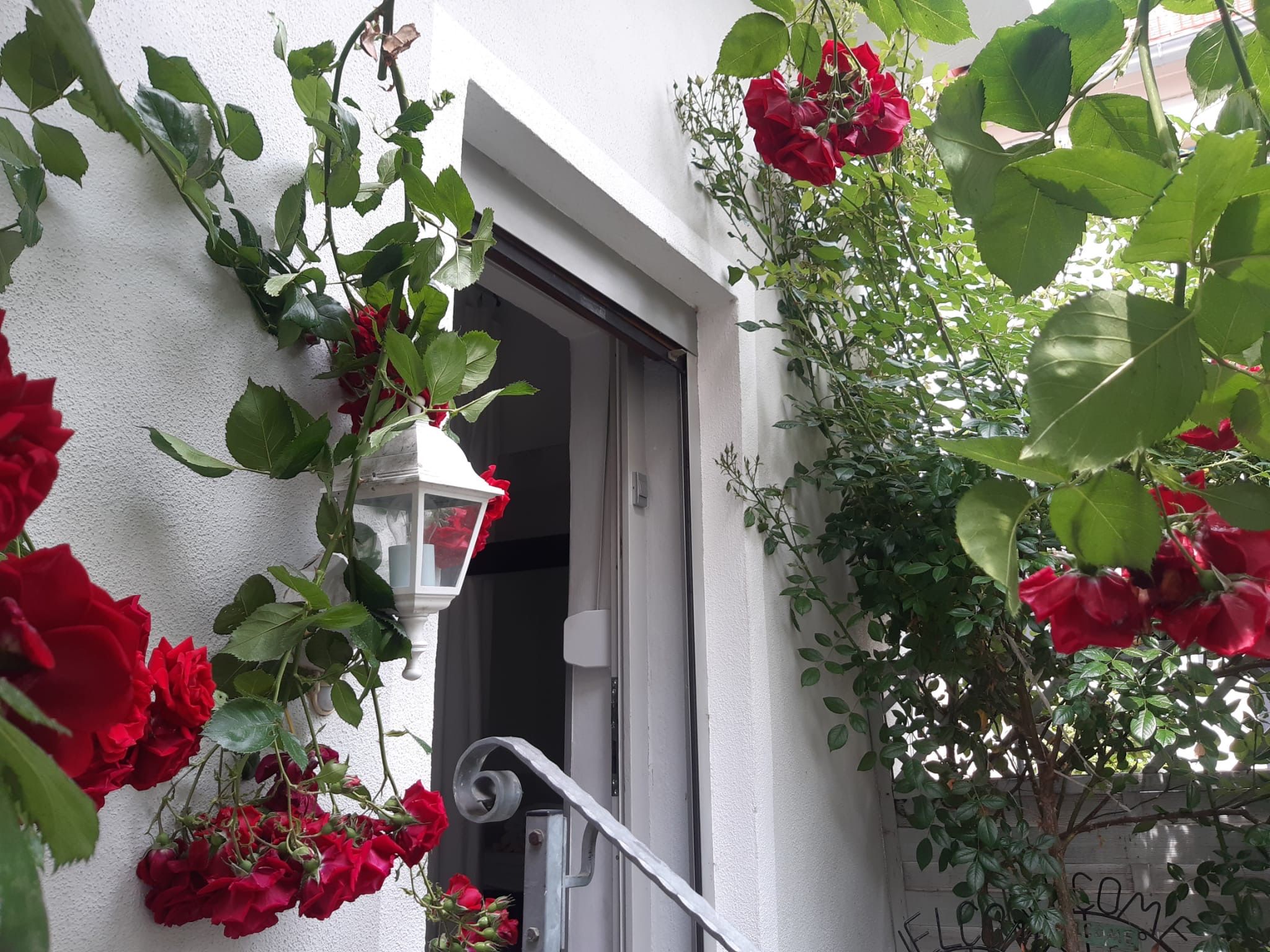 Ruhiges, Zentrales City Apartment In Bamberg - 1