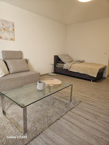 Bright & Cozy Apartment with Terrace at Center of Stuttgart