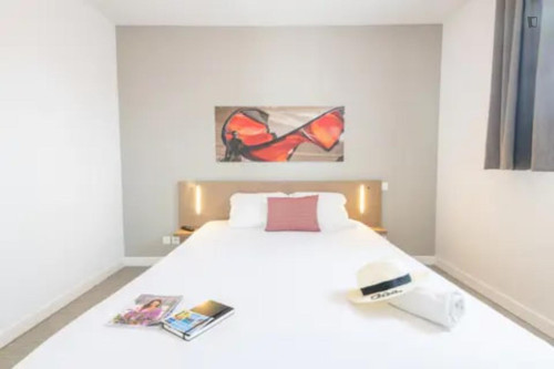 Nice 1 bedroom apartment in Cannes  - Gallery -  5