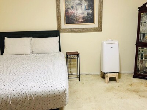 Spacious beautiful room to rent