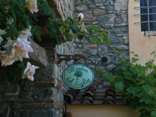 Agriturismo All'Ombra del Tiglio  - Gallery - 20