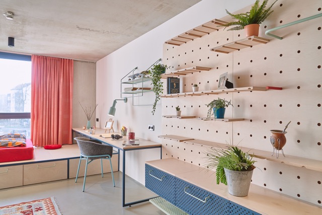 Studio Shared Kitchen - 14