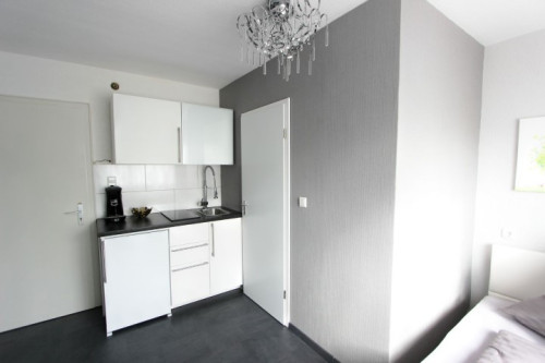 Fully Furnished Mini Studio Apartment in Karlsruhe - Gallery - 6