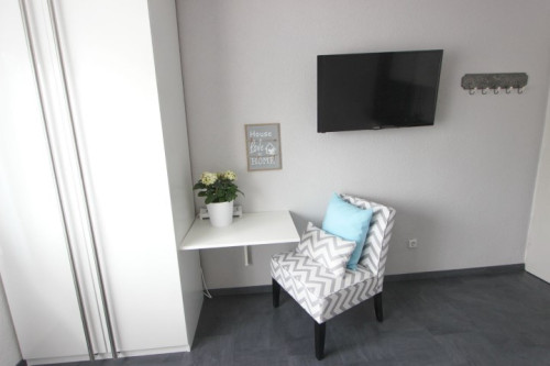 Fully Furnished Mini Studio Apartment in Karlsruhe - Gallery - 15