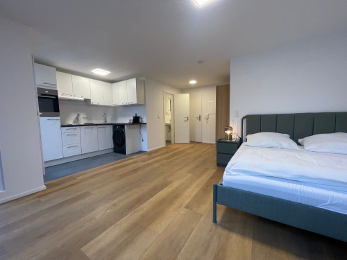 Brand new Studio Apartment with balcony in S-Möhringen