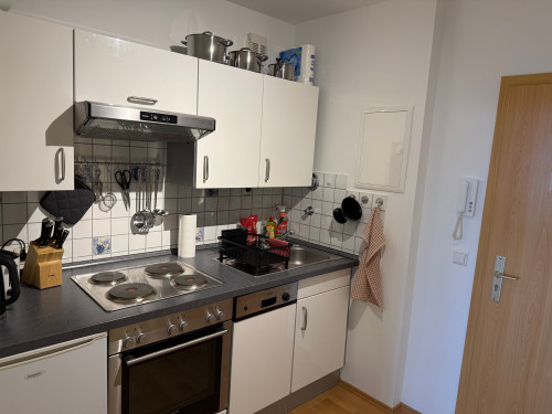 Fully equipped one-bedroom apartment with lake view and swimming pool - Gallery - 9
