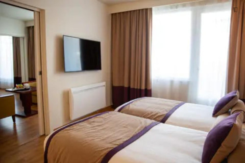 Very nice 1 bedroom apartment near Paris Charles de Gaulle Airport