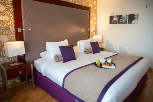 Very nice 1 bedroom apartment near Paris Charles de Gaulle Airport