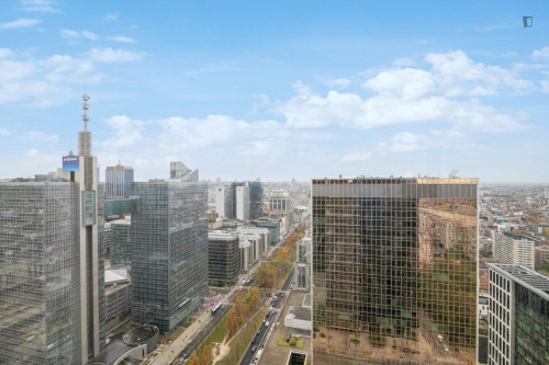 Bright double bedroom in nice shared flat in the close vicinity of Brussels-North train station