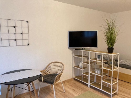 Charming, fantastic and freshly renovated 1,5 room apartment in Neu-Ulm midtown - Gallery - 16