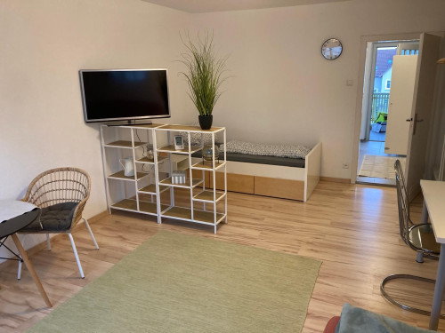 Charming, fantastic and freshly renovated 1,5 room apartment in Neu-Ulm midtown - Gallery - 19