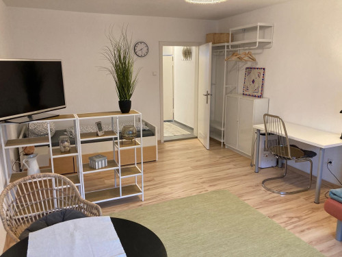 Charming, fantastic and freshly renovated 1,5 room apartment in Neu-Ulm midtown - Gallery - 18