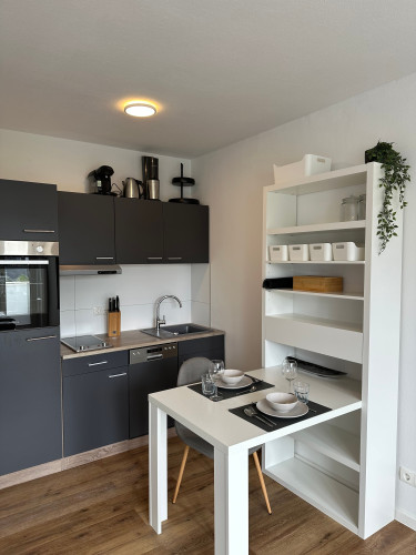 Furnished Apartment in Düsseldorf Wersten/Bilk – First-Time Occupancy After Renovation