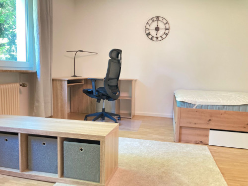Charming & amazing suite close to city center (München) - Gallery - 28