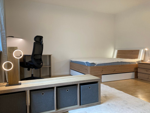 Charming & amazing suite close to city center (München) - Gallery - 27