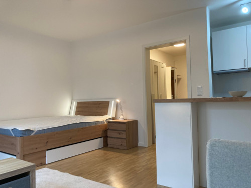 Charming & amazing suite close to city center (München) - Gallery - 26