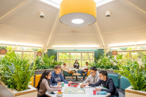 Peverell  - Gallery -  2