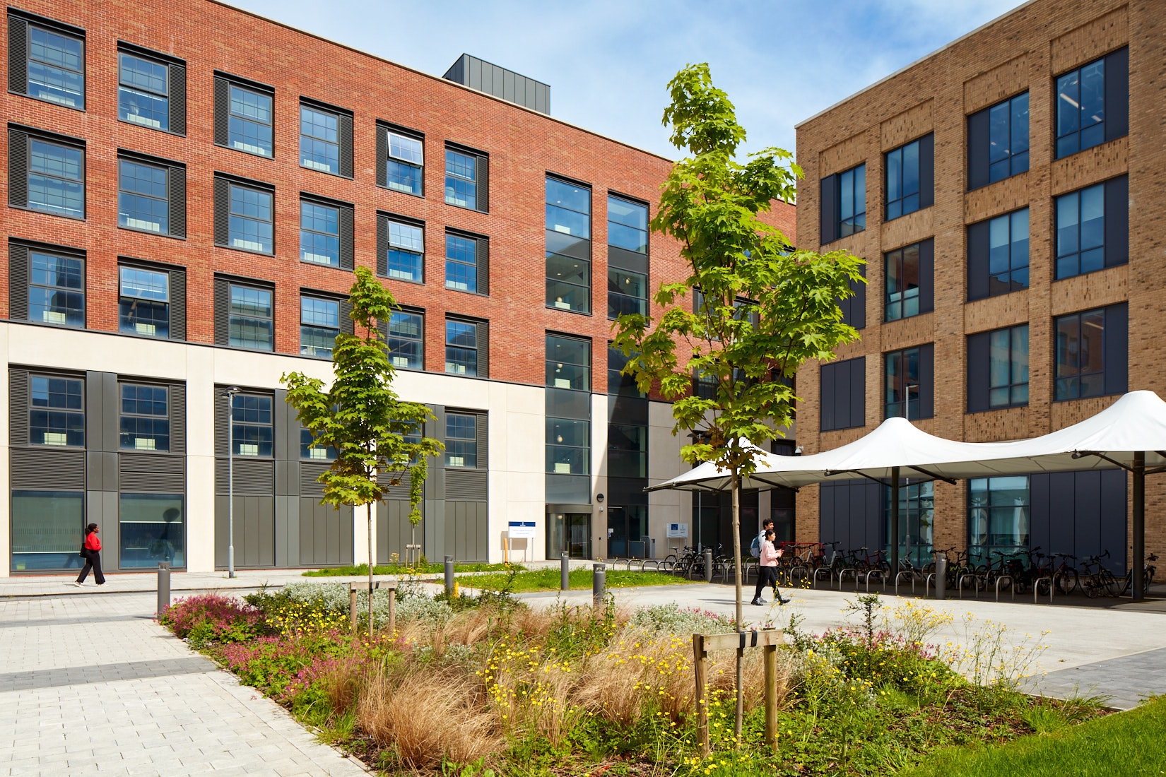 Bay Campus