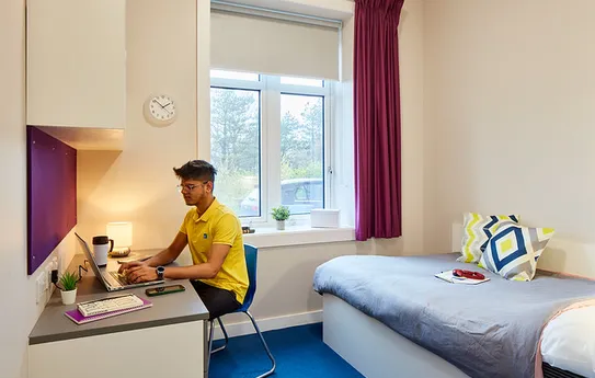  Medium Ensuite  -  Bay Campus  - Gallery -  1