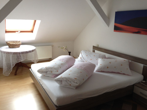 Quiet and charming studio, Markkleeberg - Gallery - 7