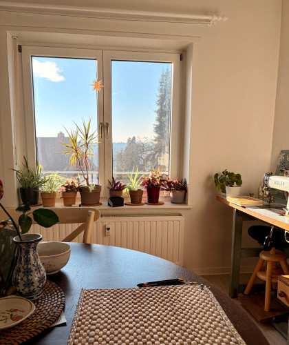 Neat & gorgeous loft in Fulda