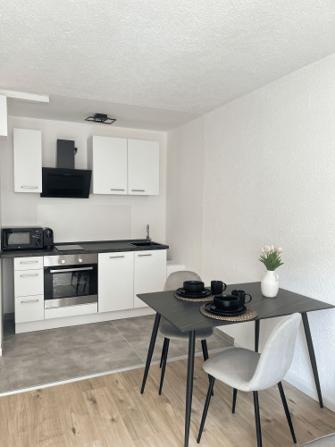 Premium Furnished City Center Apartment in Mannheim T6 – 53 sqm, Newly Renovated, Home Office & Free WiFi for up to 3 people