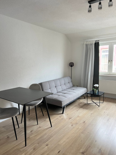 Premium Furnished City Center Apartment in Mannheim T6 – 53 sqm, Newly Renovated, Home Office & Free WiFi for up to 3 people - Gallery - 43