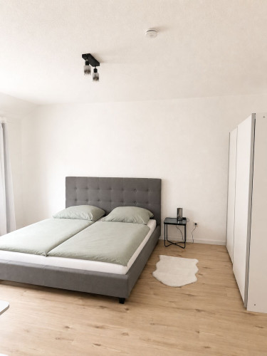 Premium Furnished City Center Apartment in Mannheim T6 – 53 sqm, Newly Renovated, Home Office & Free WiFi for up to 3 people - Gallery - 2