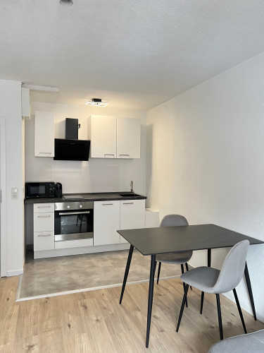 Premium Furnished City Center Apartment in Mannheim T6 – 53 sqm, Newly Renovated, Home Office & Free WiFi for up to 3 people - Gallery - 26