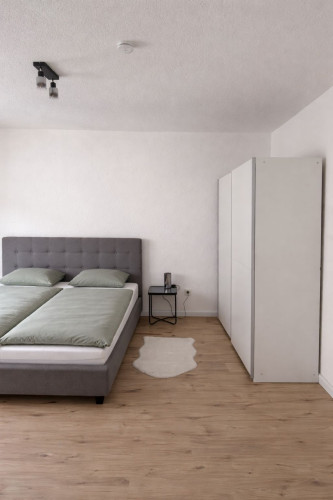 Premium Furnished City Center Apartment in Mannheim T6 – 53 sqm, Newly Renovated, Home Office & Free WiFi for up to 3 people - Gallery - 10