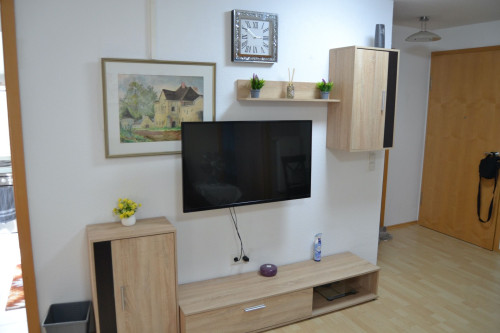 Zentral Stilvolle zwei Zimmer Wohnung, Centrally located, stylish two-room apartment - Gallery - 20