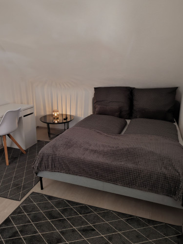 Cozy and bright apartment in Mainz-Kostheim