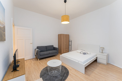 Cozy and great flat in Prenzlauer Berg (Berlin)