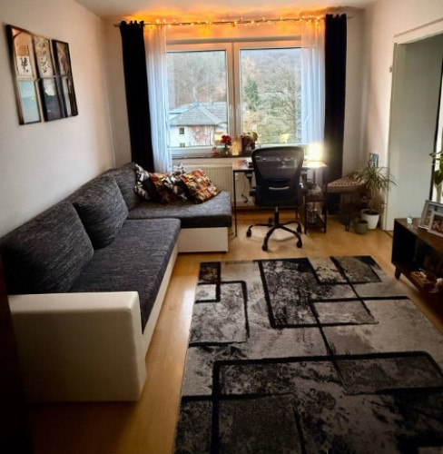Cozy & Well-Furnished Apartment in Göttingen for a lady