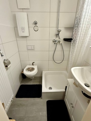  Apartment  -  Cozy & Well-Furnished Apartment in Göttingen for a lady  - Gallery -  5