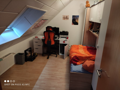 Bright and lovely suite in Rüsselsheim am Main - Gallery - 6