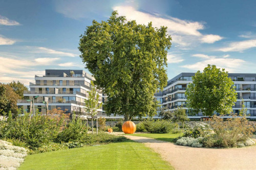 High-quality studio in the centre of Dresden with balcony, 15 minutes walk from the main station