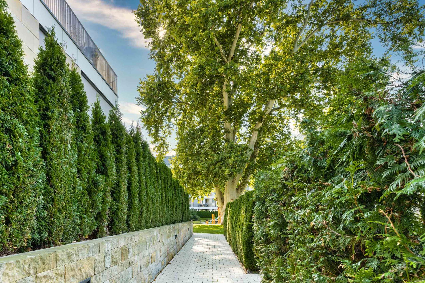 High-Quality Studio In The Centre Of Dresden With Balcony, 15 Minutes Walk From The Main Station - High-quality studio in the centre of Dresden with balcony, 15 minutes walk from the main station - Gallery - 13