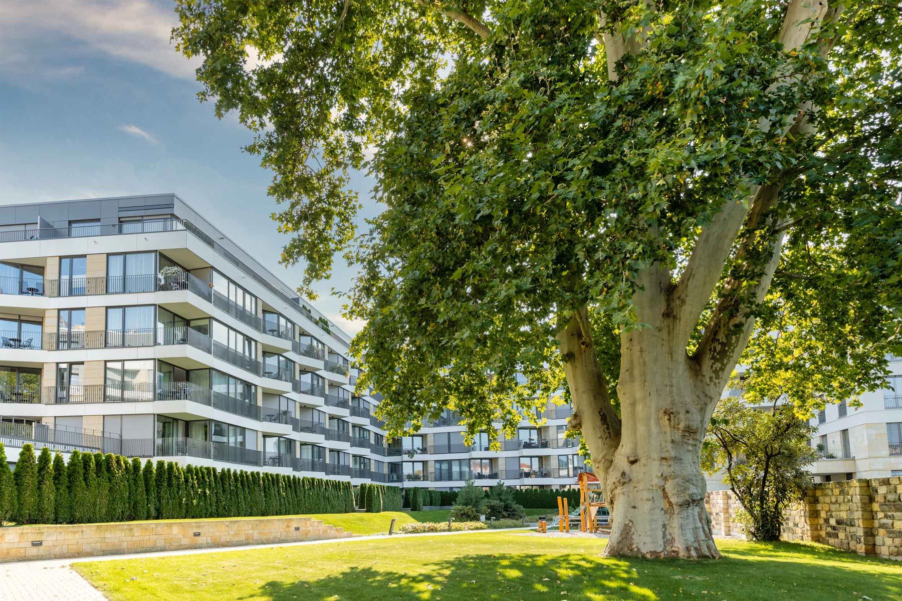  High-Quality Studio In The Centre Of Dresden With Balcony, 15 Minutes Walk From The Main Station  -  High-quality studio in the centre of Dresden with balcony, 15 minutes walk from the main station  - Gallery -  14