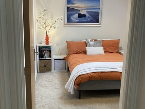 Comfy stay in Sunny Devon 