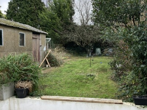 Peaceful and private large room