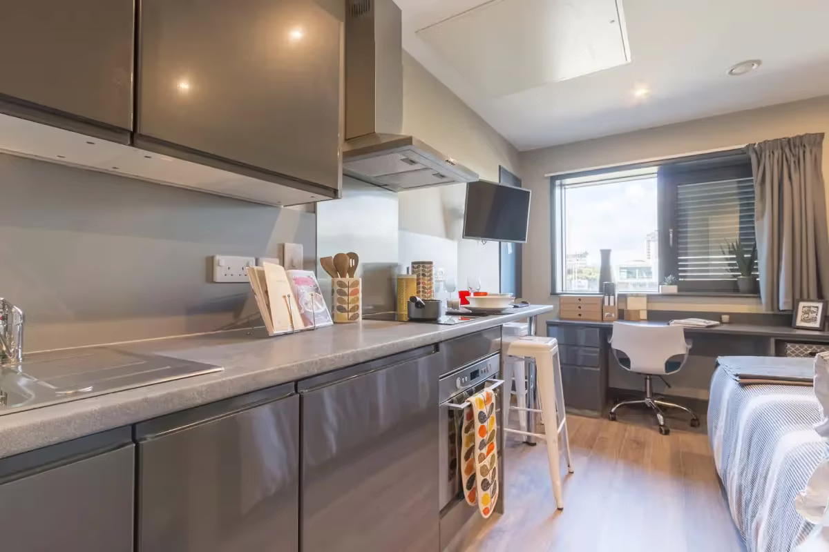  Standard Studio  -  Lumis Cardiff  - Gallery -  2